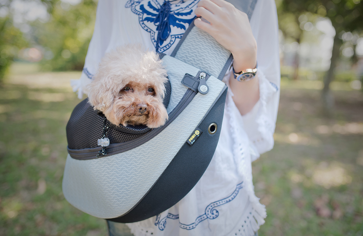 Pet Carriers