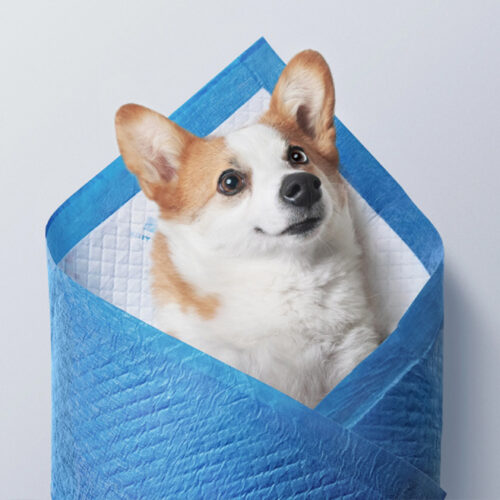 Pet Essentials - Puppy Pads